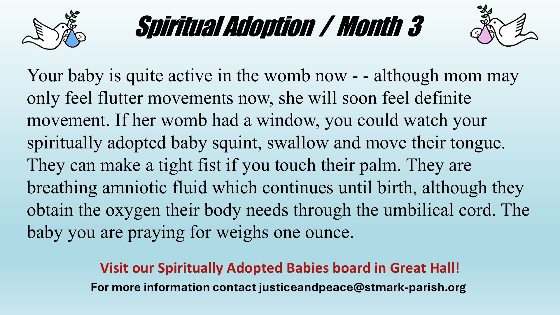 Spiritual Adoption M3