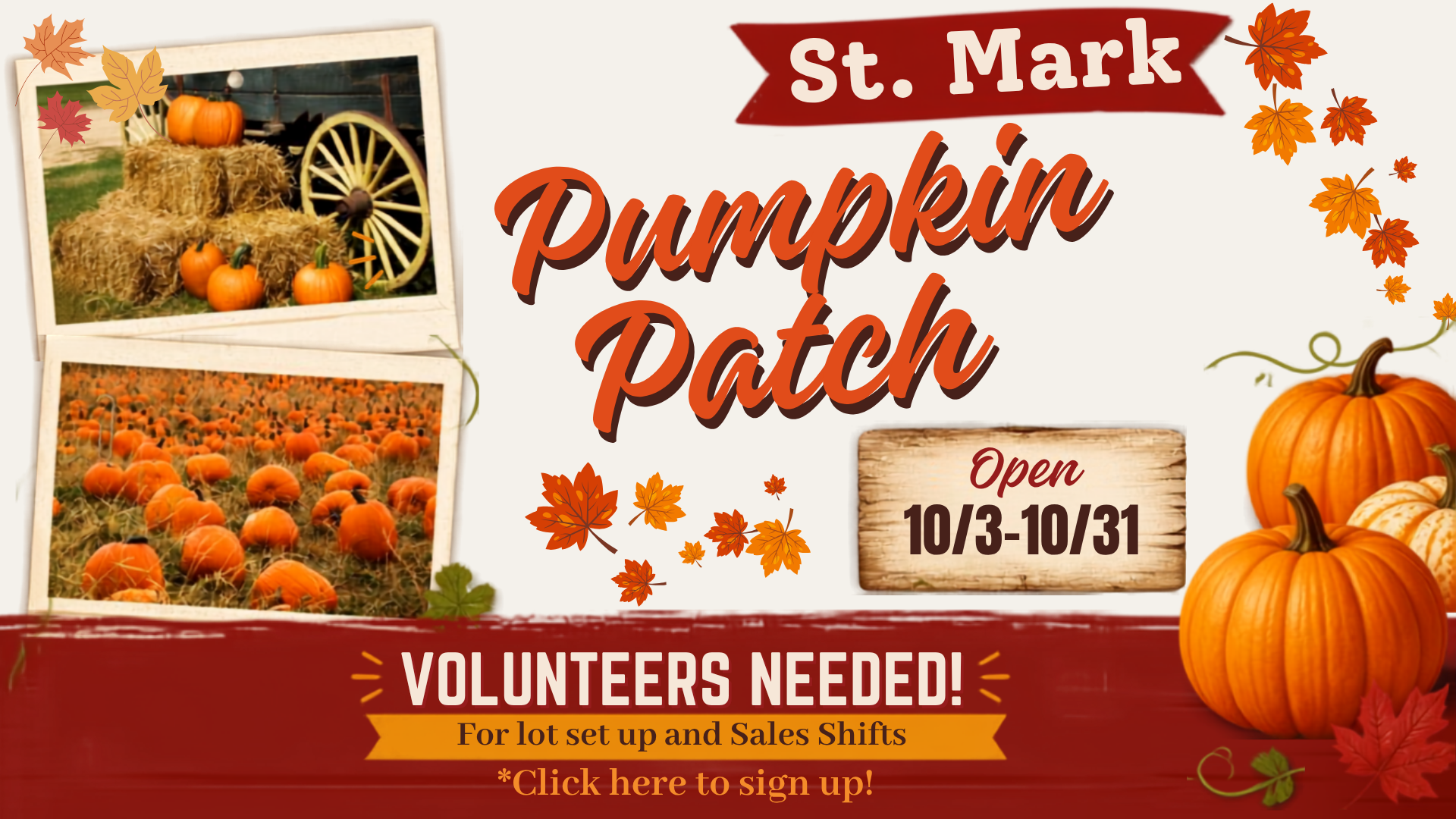 Pumpkin Patch